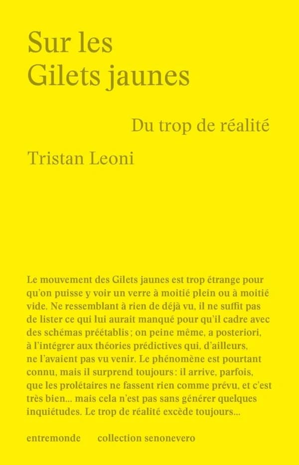Sur les Gilets jaunes : Du trop de réalité