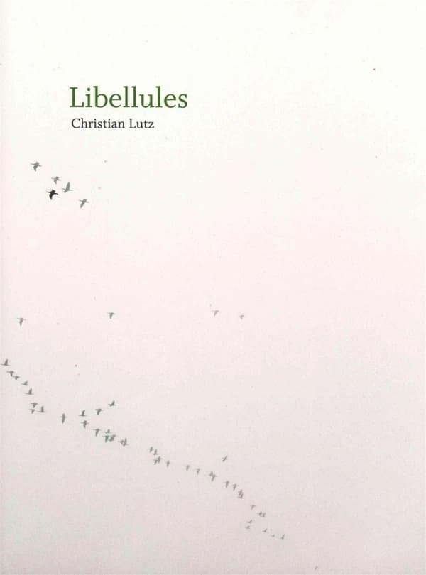 Libellules