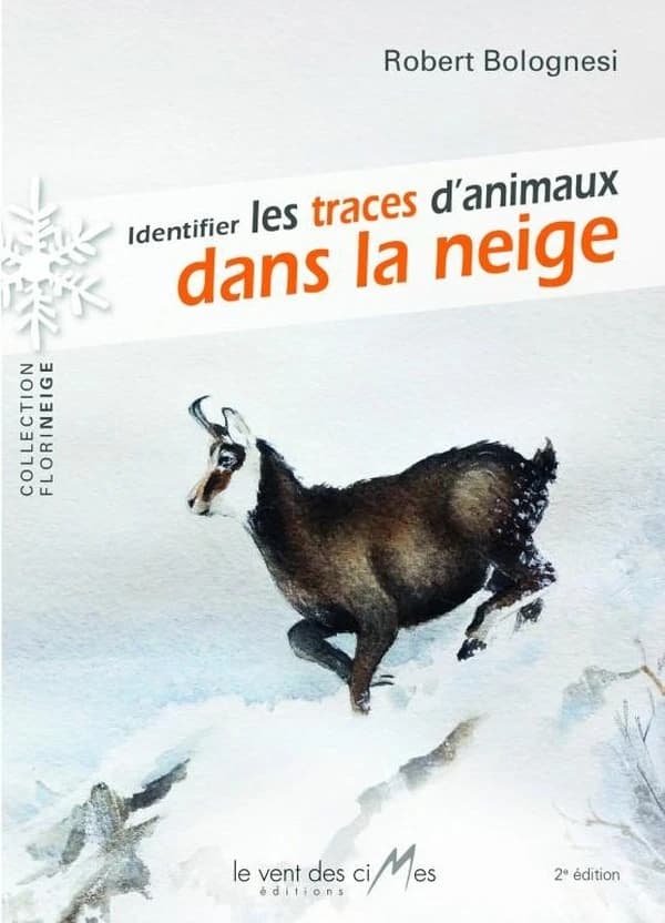 Identifier les traces d'animaux dans la neige (2) Robert olognesi ; [illustrations, Maté Mermoud]