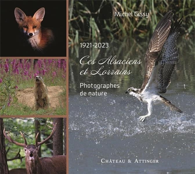 CES ALSACIENS ET LORRAINS