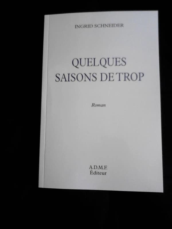 Quelques saisons de trop : roman