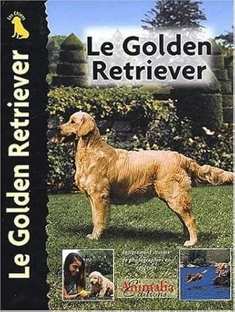 Le golden retriever