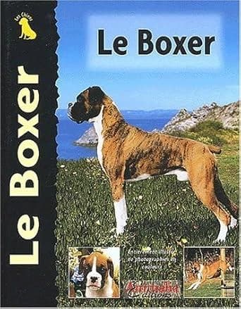 Le boxer