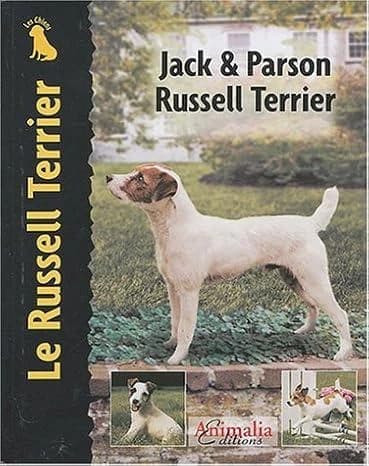 Jack & Parson Russell terrier