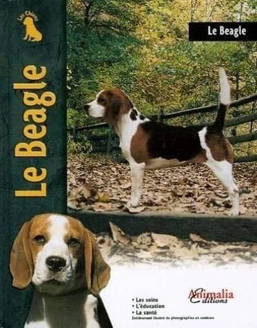 Le beagle