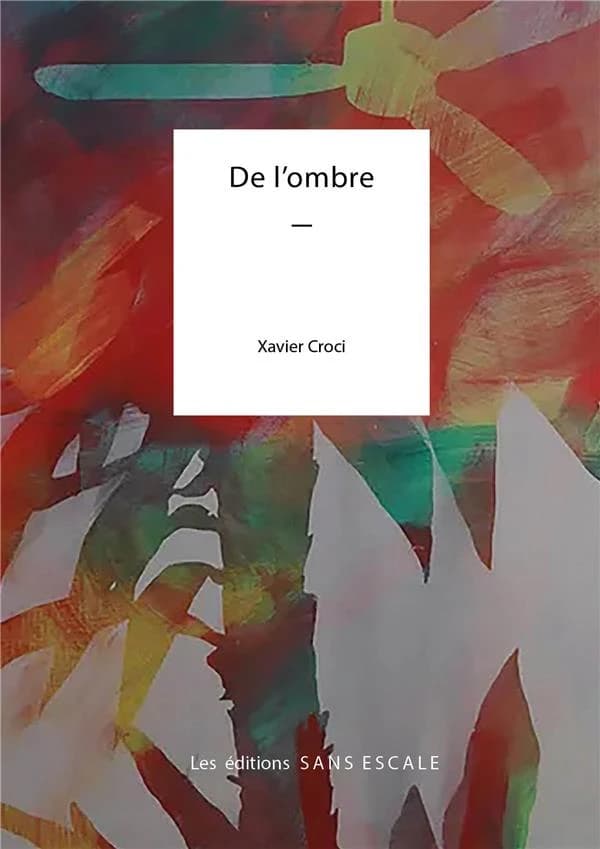 De l'ombre : récits