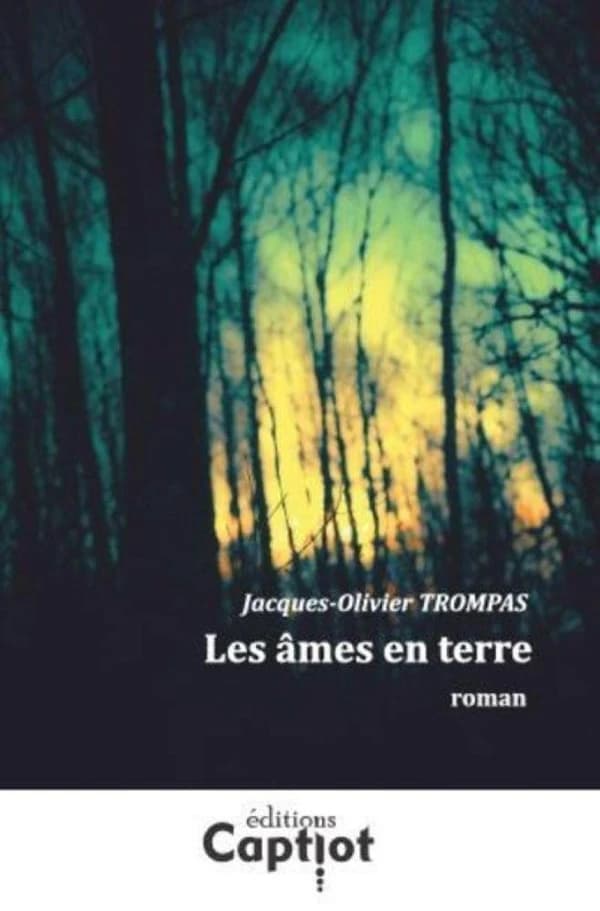 Les âmes en terre : roman