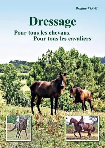 Dressage : pour tous les cavaliers pour tous les chevaux