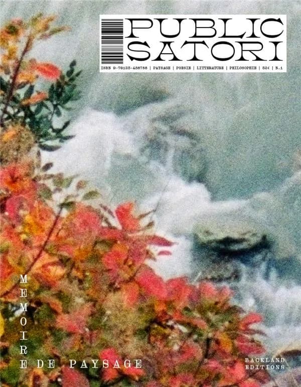 Public satori