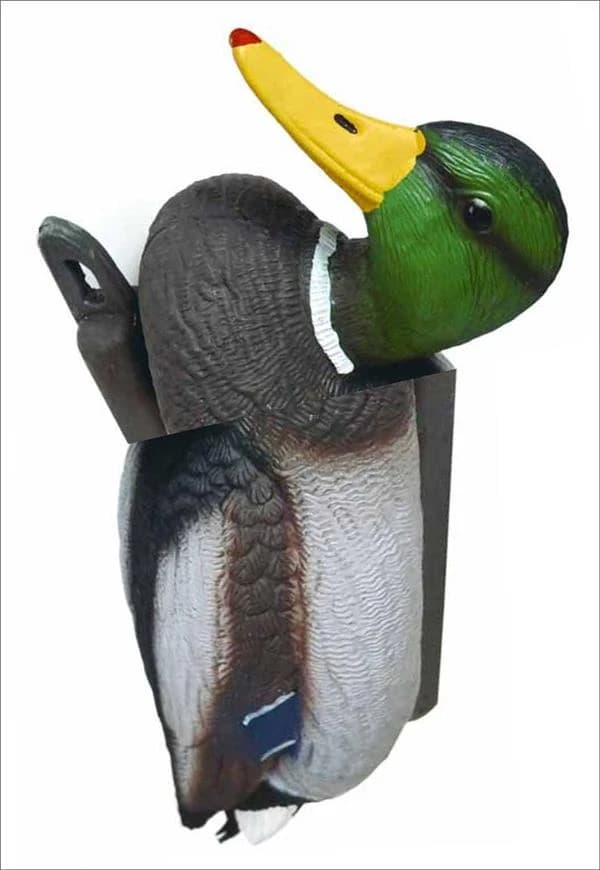 No new kind of duck ; would I know how to say what I do?