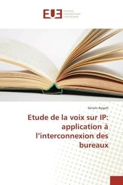 Etude de la voix sur IP: application A l'interconnexion des bureaux