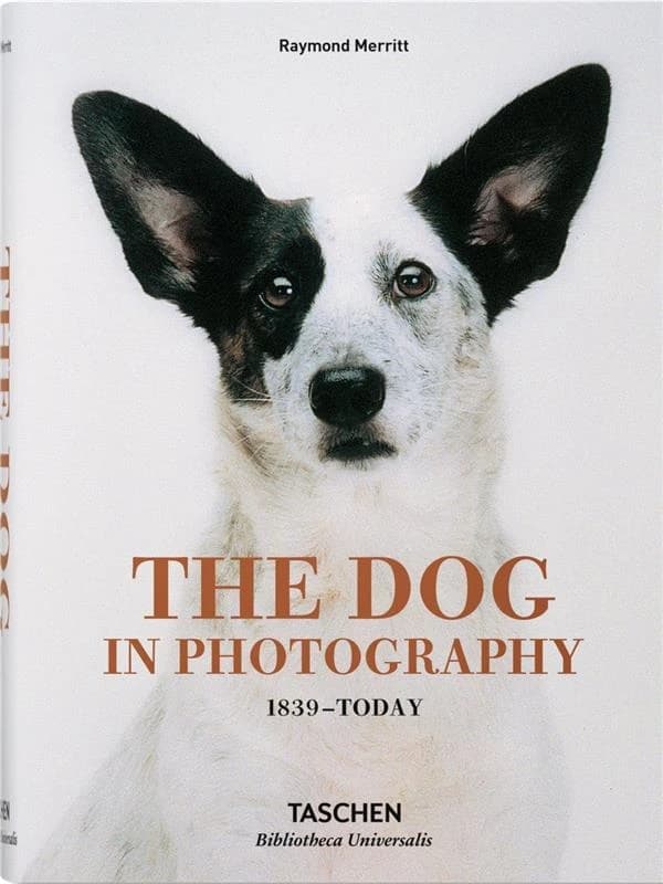 The dog in photography : 1839-today