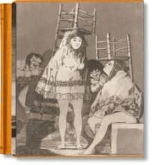 Goya : the complete prints