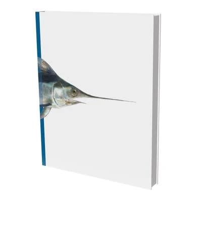 Gerhard winkler : fishs and cephalopods