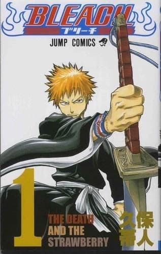 Bleach, Volume 1