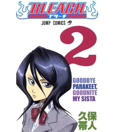 Bleach, Volume 2