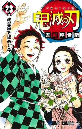 Demon slayer Tome 23