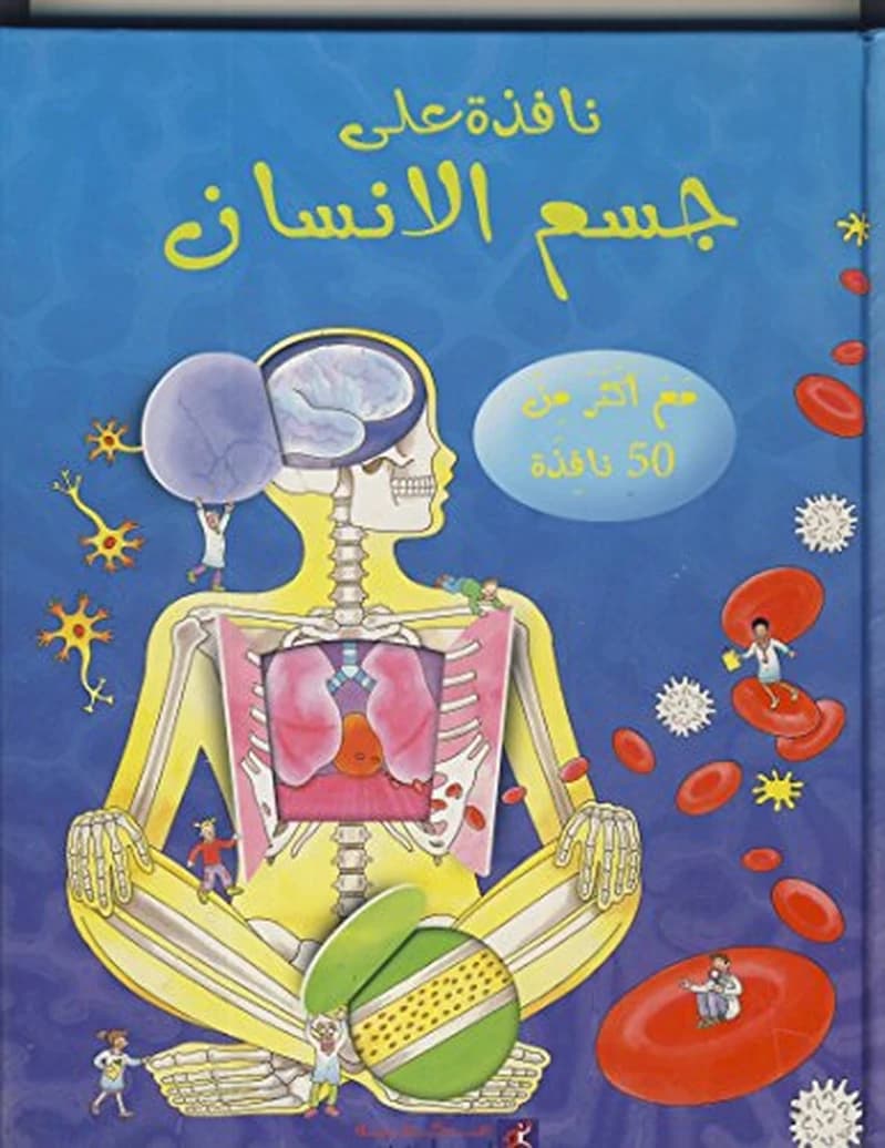 نافدة على جسم الانسان
