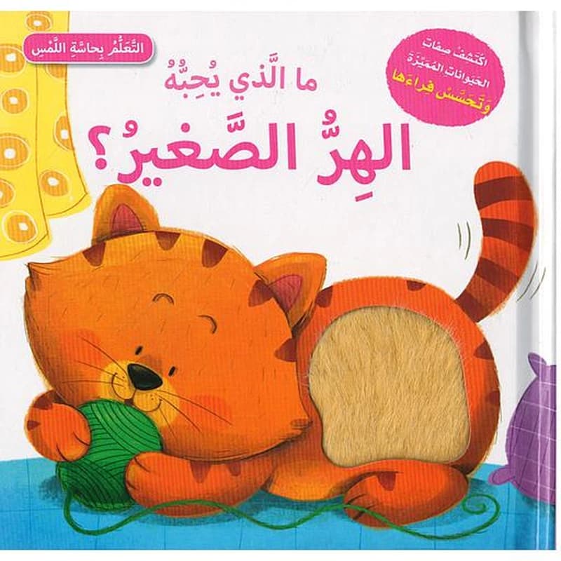 ما الذي يحبه الهر الصغير