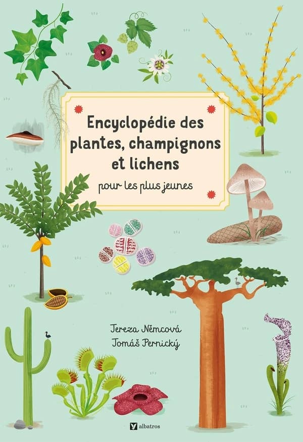 Encyclopédie des plantes, champignons et lichens : pour les plus jeunes