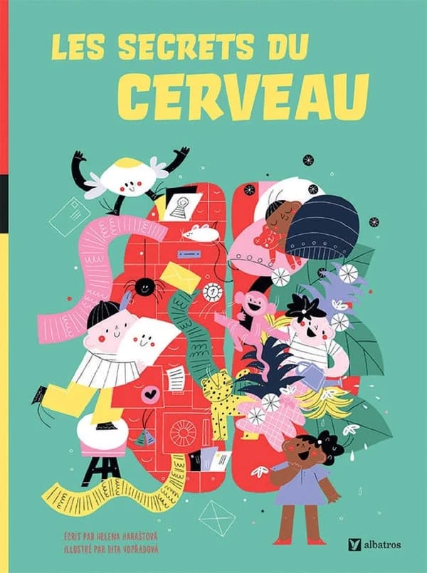 Les secrets du cerveau