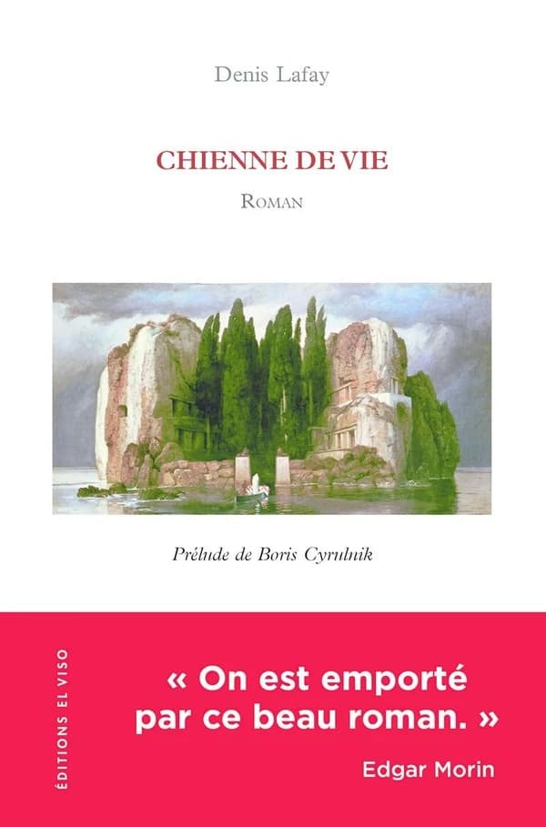 Chienne de vie : roman