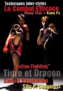 Le combat efficace muay thai kung fu