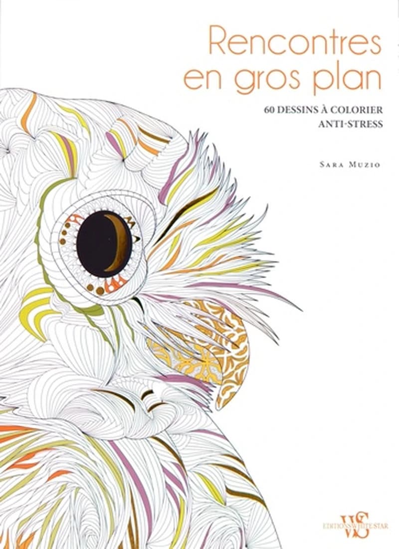 Rencontres en gros plan