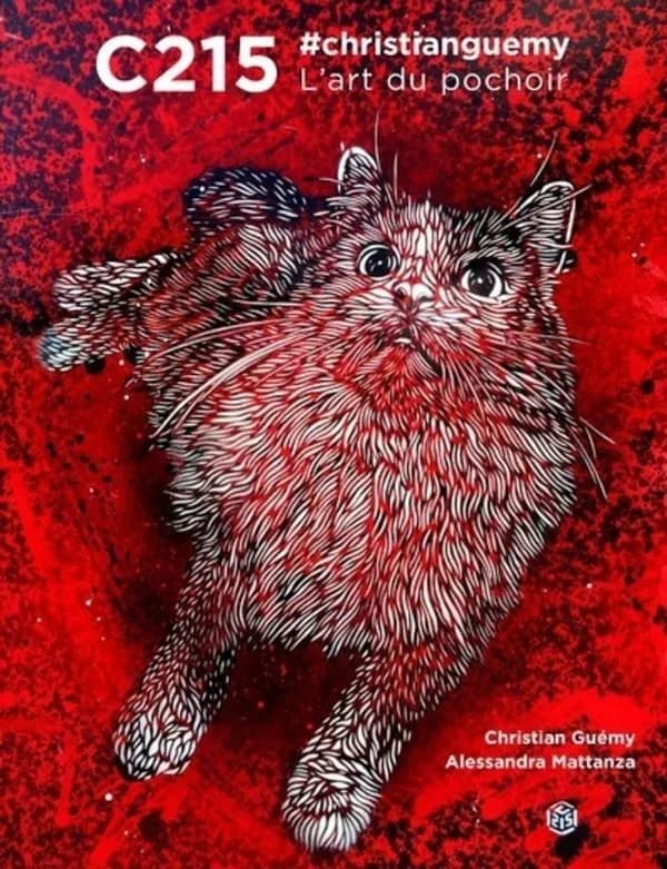 C215 ; #christianguemy ; l'art du pochoir