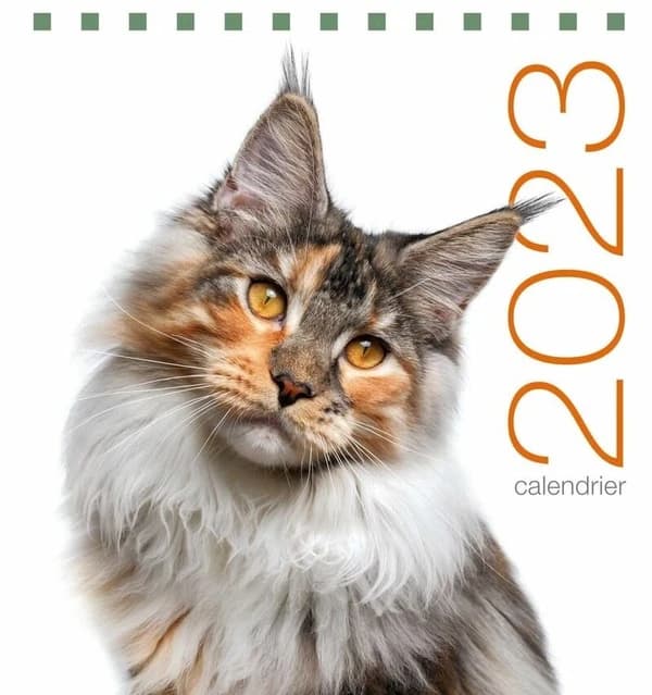 Calendrier de table chats (édition 2023)