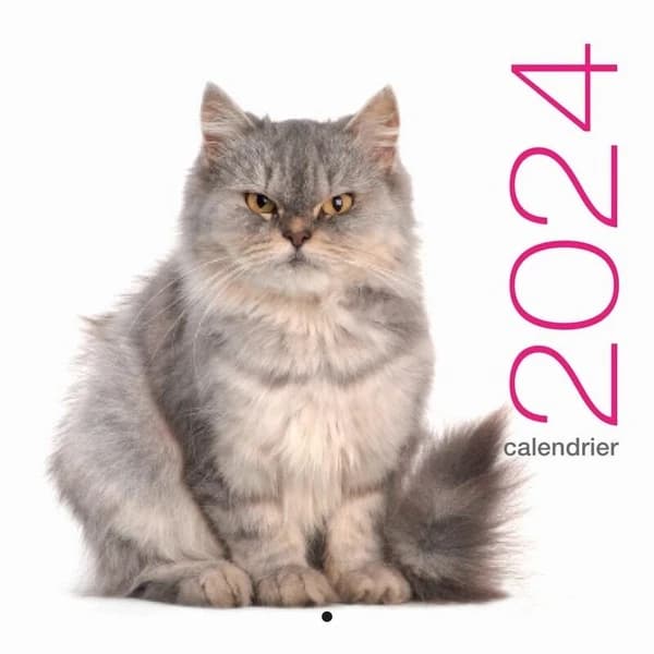 Calendrier mural chats (édition 2024)