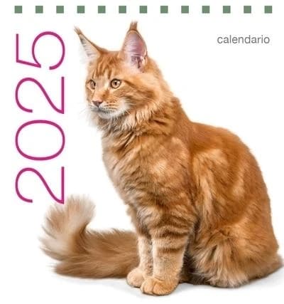 Calendrier de table : Chats (édition 2025)