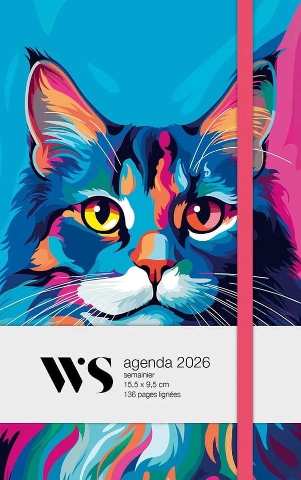 Chat pop : Agenda (édition 2026)