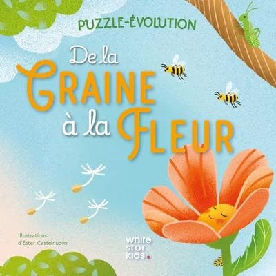 Puzzle-évolution : De la graine à la fleur