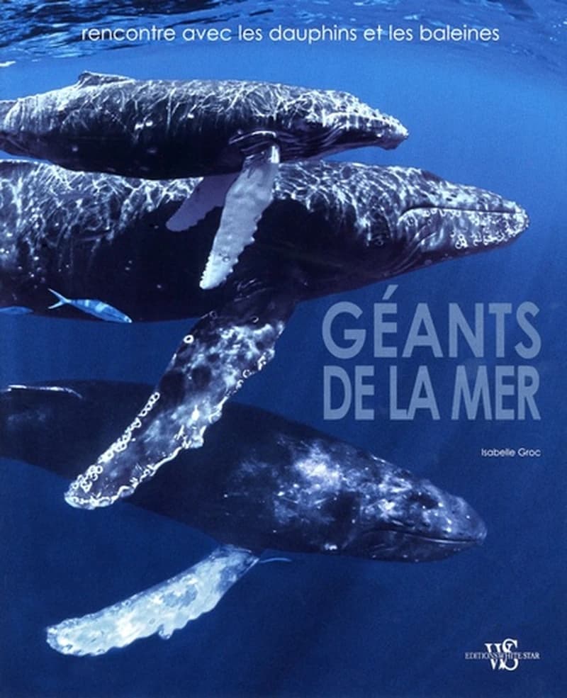 GEANTS DE LA MER - RENCONTRE AVEC LES DAUPHINS ET  LES BALEINES