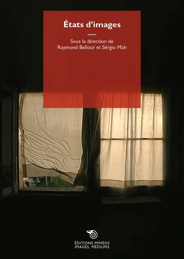 États d'images : instants et intervalles : [exposition, Lisbonne, Centro cultural de Belém, 25 mai-25 juillet 2005]