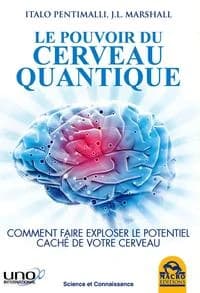 LE POUVOIR DU CERVEAU QUANTIQUE - COMMENT FAIRE EXPLOSER LE POTENTIEL CACHE DE VOTRE CERVEAU