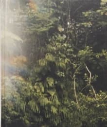 La Soufriere