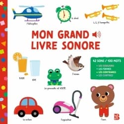 Mon grand livre sonore : 42 sons, plus de 100 mots : les couleurs, les formes, les contraires, les chiffres