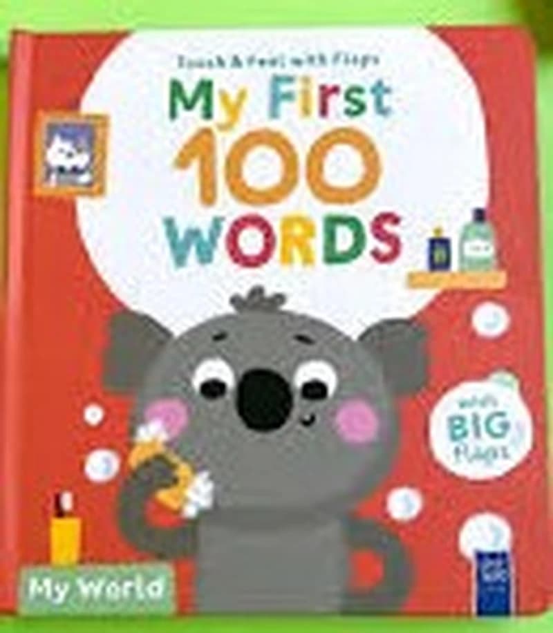 Touch & Feel with Flaps - My First 100 Words - My world