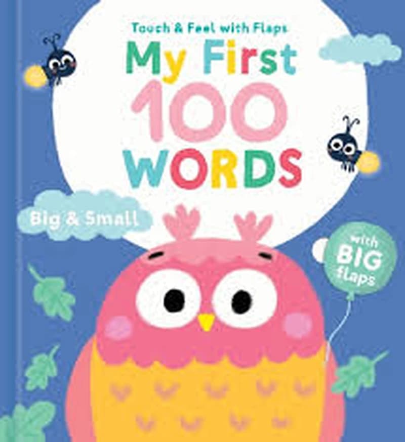 Touch & Feel with Flaps - My First 100 Words - Big & Small
