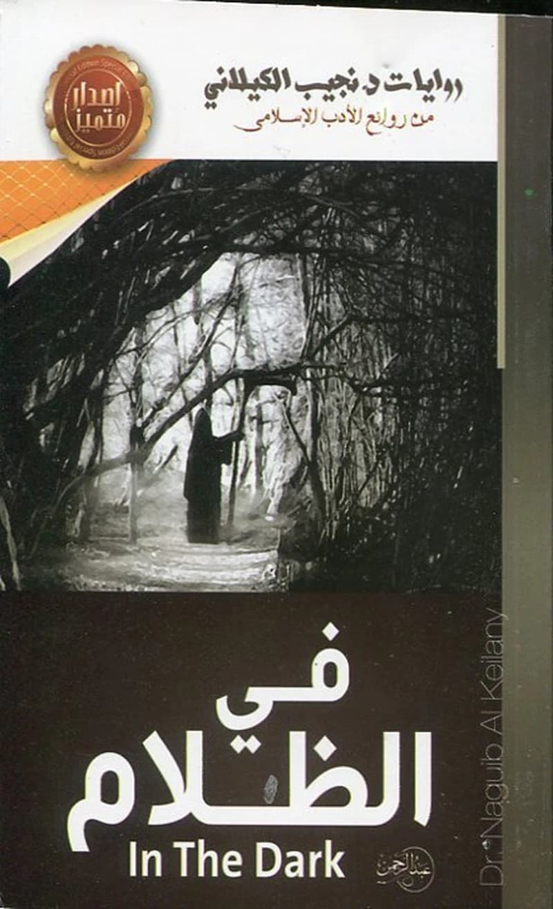 في الظلام