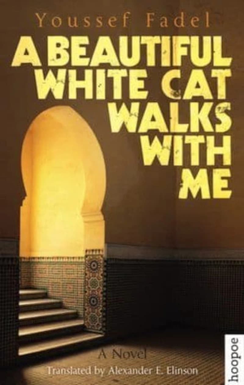 A BEAUTIFUL WHITE CAT WALKS WITH ME