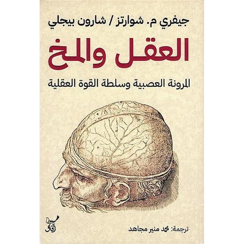 العقل والمخ: المرونة العصبية وسلطة القوة العقلية