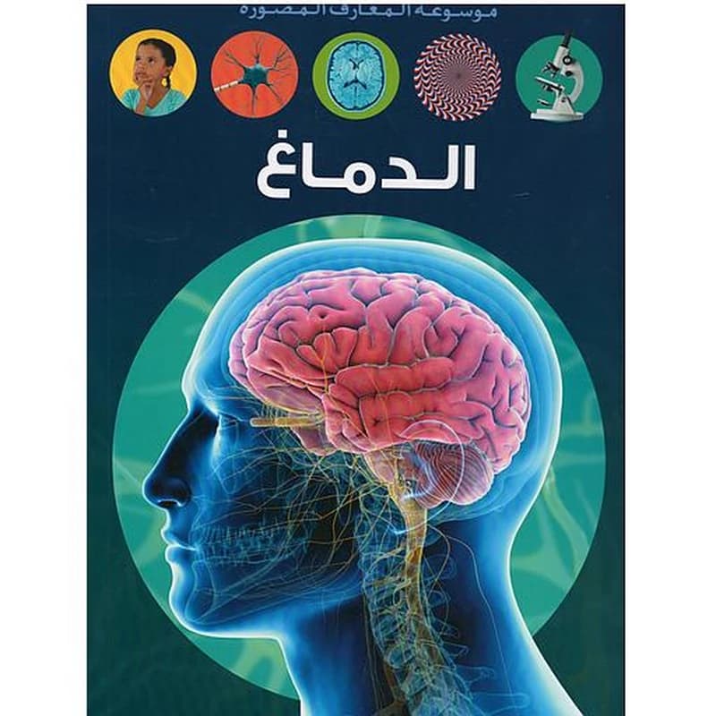 الدماغ