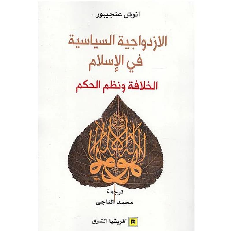 الازدواجية السياسية في الاسلام