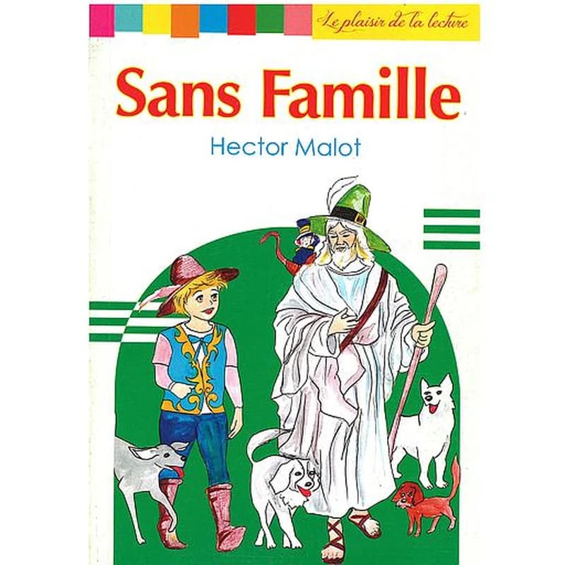 sans famille
