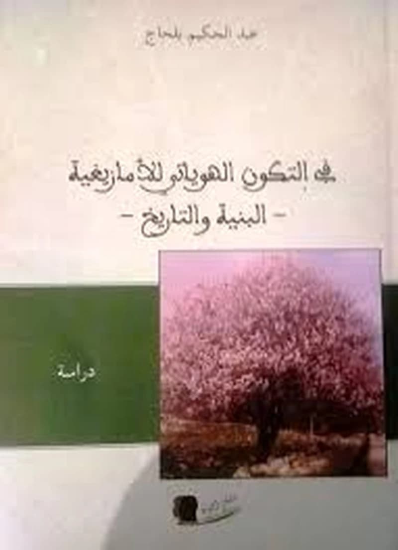 في التكوين الهوياتي للأمازيغية البنية والتاريخ