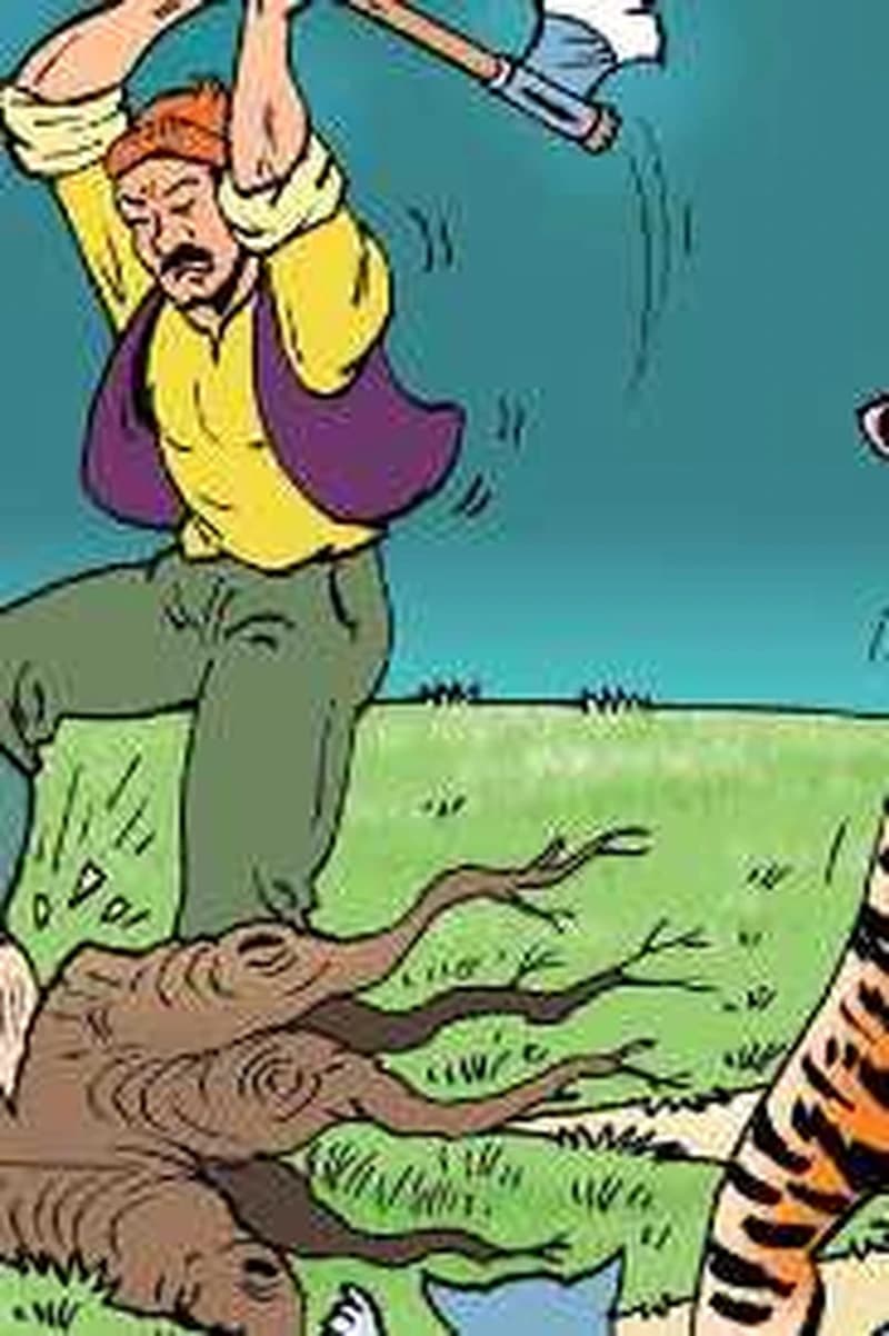 Le tigre et le chat