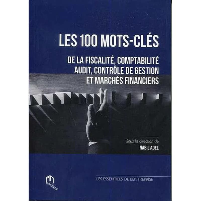 Les 100 mots-clés de la fiscalité, comptabilité, audit, contrôle de gestion et marchés financiers